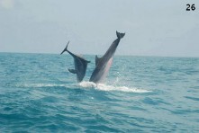 صورة من الواد الصغير